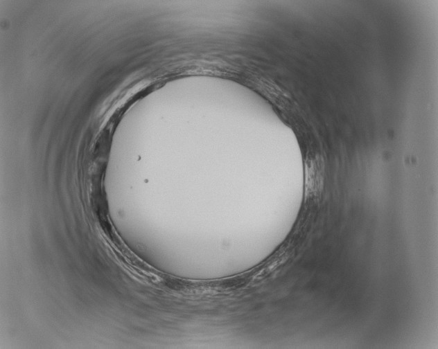 X0000053050291200508081135