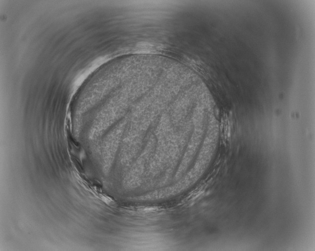 X0000053050292200508081135