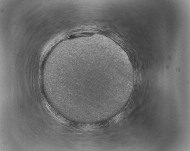 X0000053050293200508081135