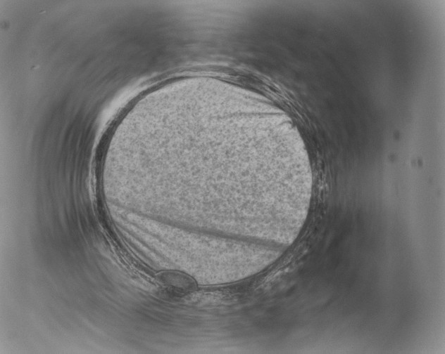 X0000053050294200508081135