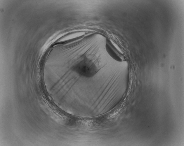 X0000053050295200508081135