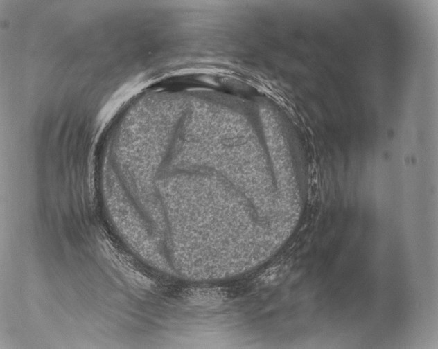 X0000053050296200508081135