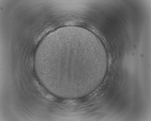 X0000053050297200508081135