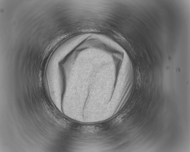 X0000053050298200508081135