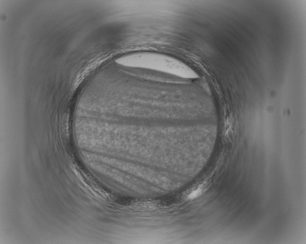 X0000053050299200508081135