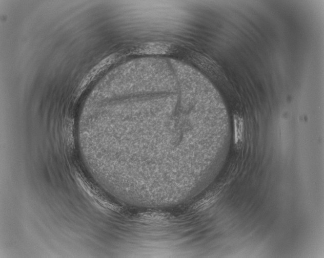 X0000053050300200508081135