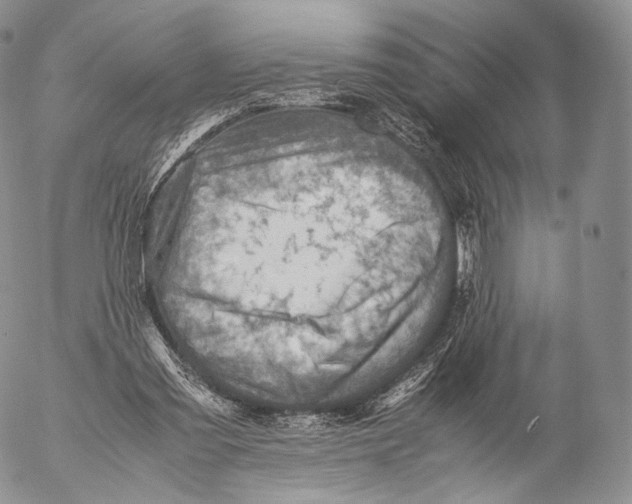 X0000053050301200508081135