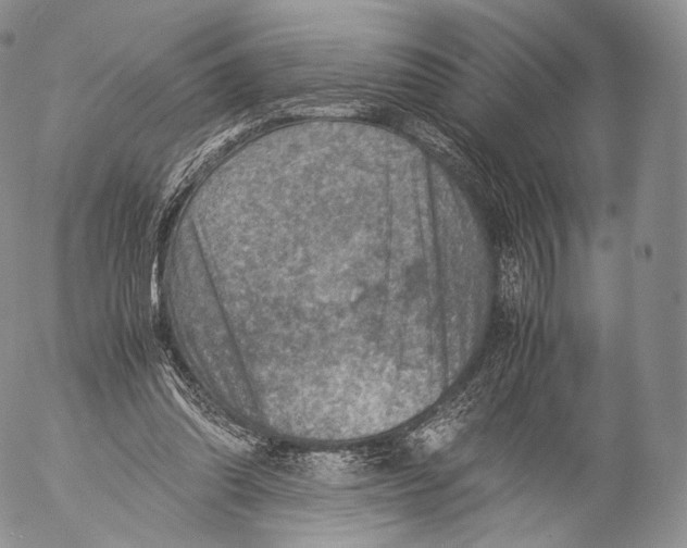 X0000053050302200508081135