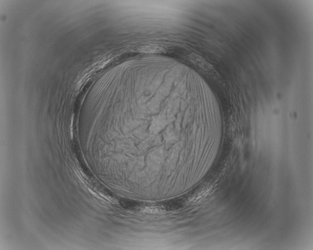 X0000053050303200508081135