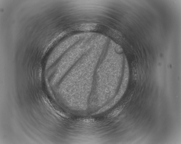 X0000053050304200508081135