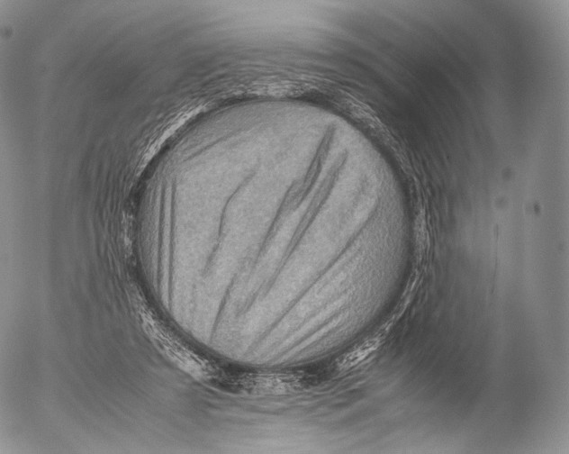 X0000053050305200508081135