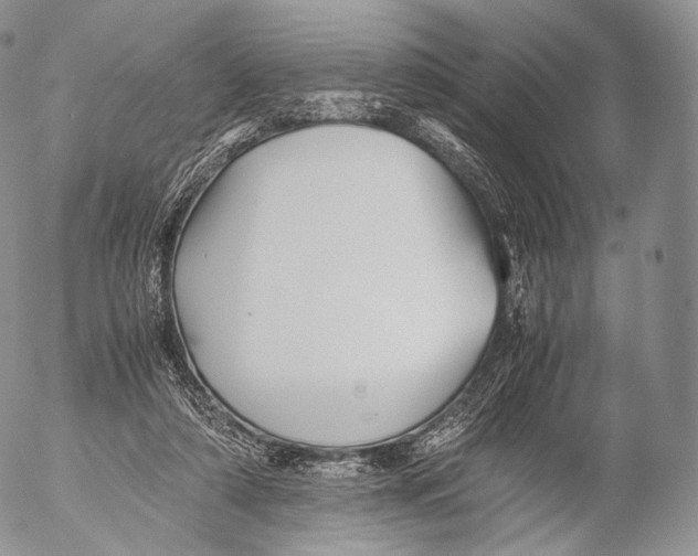 X0000053050306200508081135