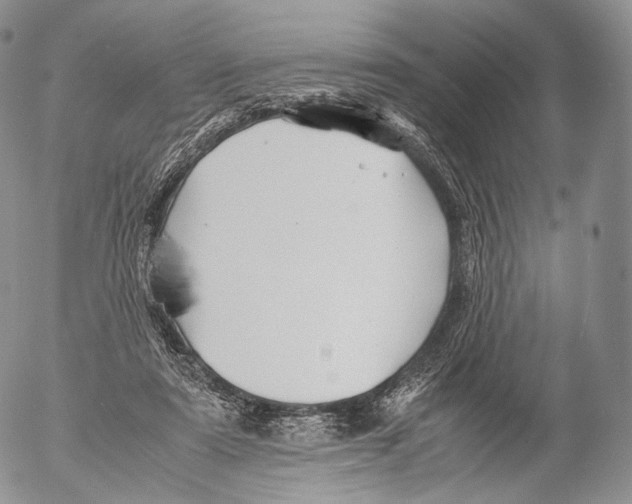 X0000053050307200508081135