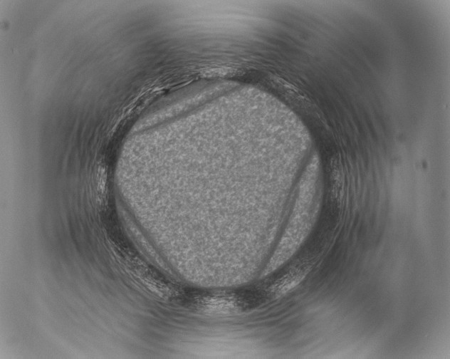 X0000053050308200508081135