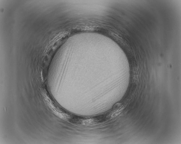 X0000053050309200508081135