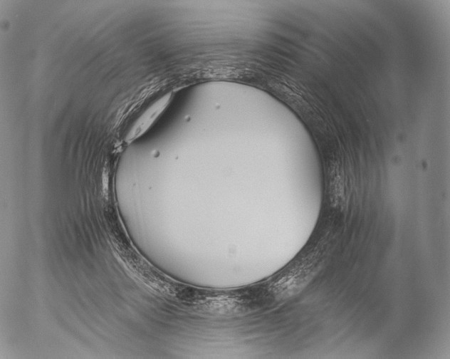 X0000053050310200508081135