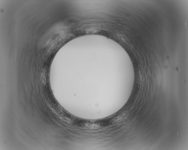 X0000053050311200508081135