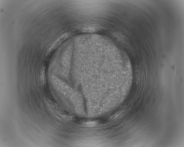 X0000053050312200508081135