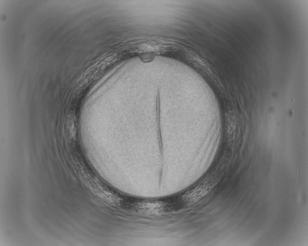 X0000053050313200508081135