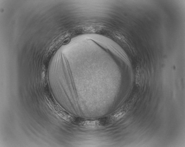 X0000053050314200508081135