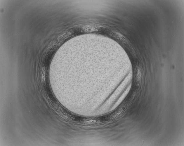 X0000053050315200508081135