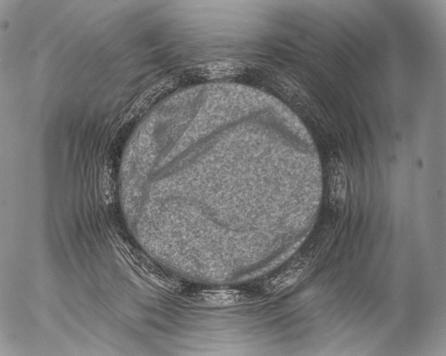 X0000053050316200508081135