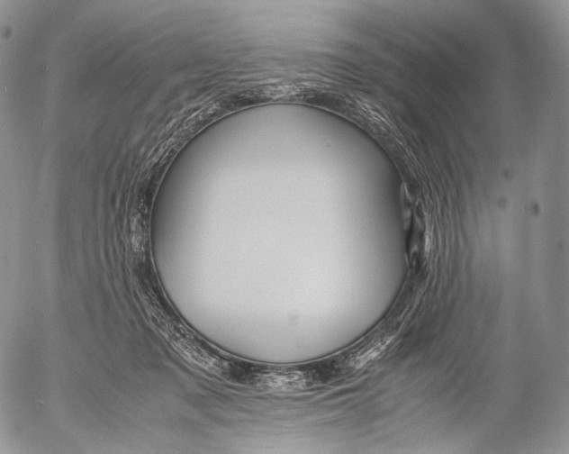 X0000053050317200508081135