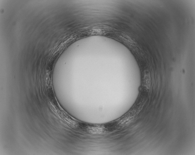 X0000053050318200508081135