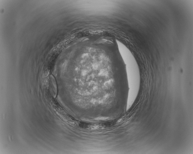 X0000053050319200508081135