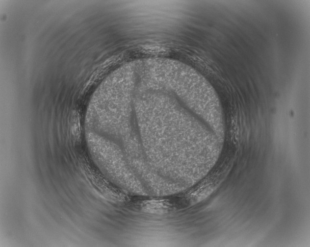 X0000053050320200508081135