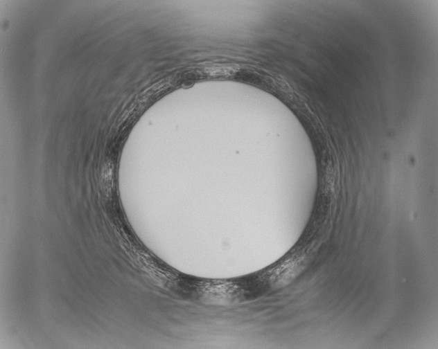 X0000053050321200508081135