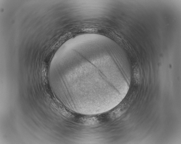 X0000053050322200508081135