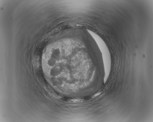 X0000053050323200508081135