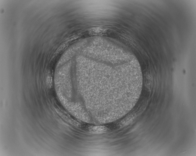 X0000053050324200508081135