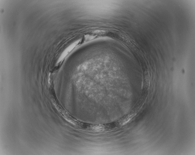 X0000053050325200508081135