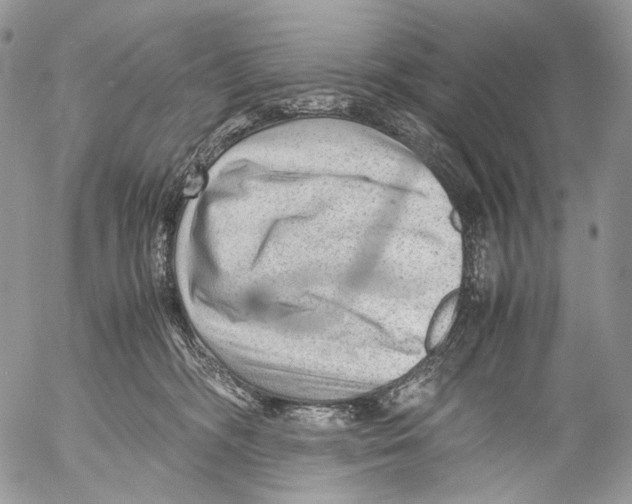 X0000053050326200508081135