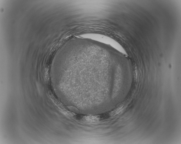 X0000053050327200508081135