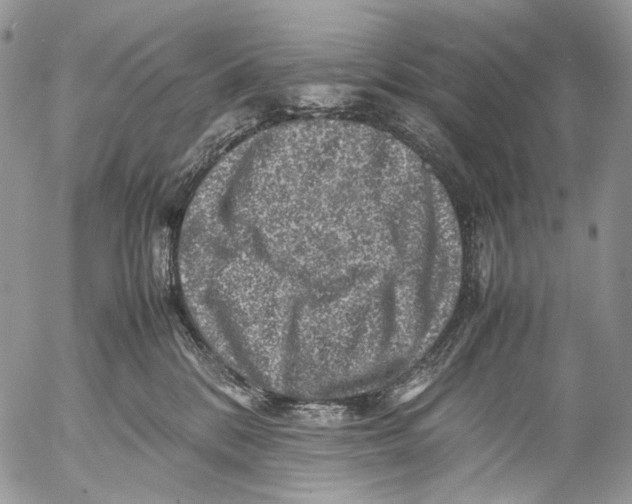 X0000053050328200508081135