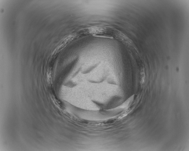 X0000053050329200508081135