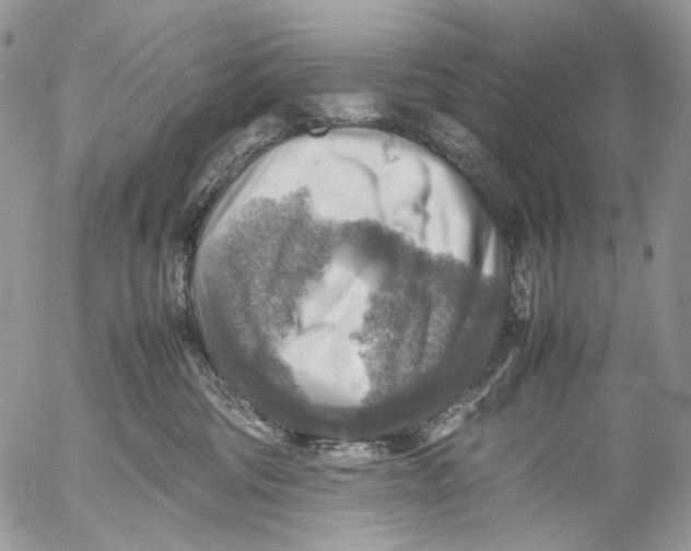 X0000053050330200508081135