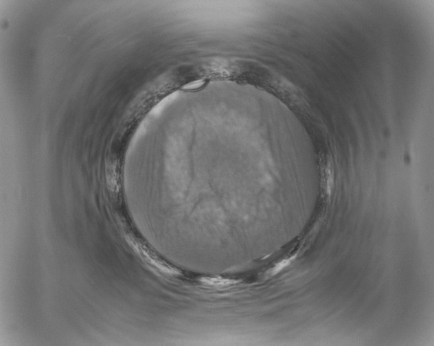 X0000053050331200508081135