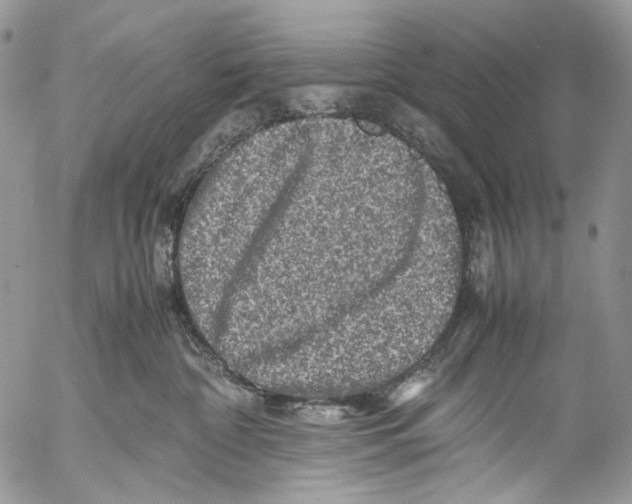 X0000053050332200508081135