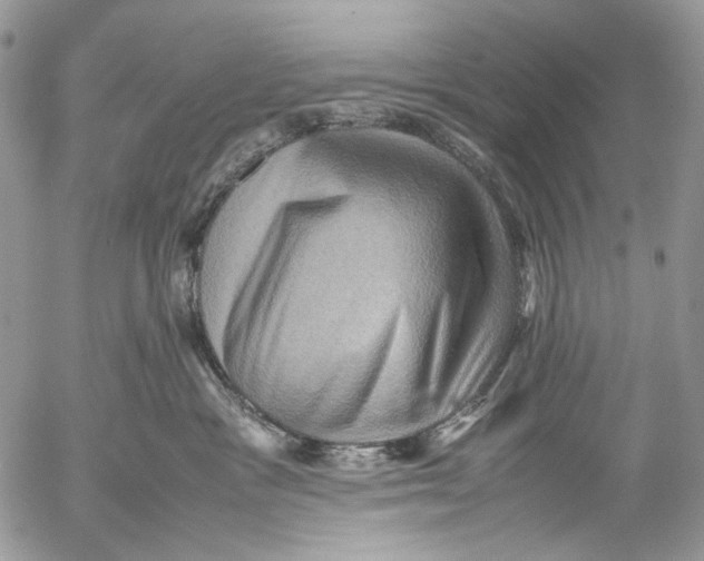 X0000053050333200508081135