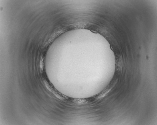 X0000053050334200508081135