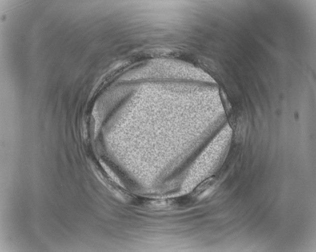 X0000053050335200508081135