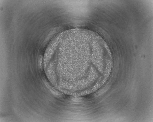 X0000053050336200508081135