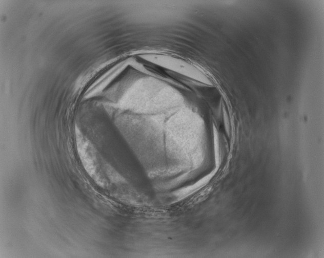 X0000053050337200508081134