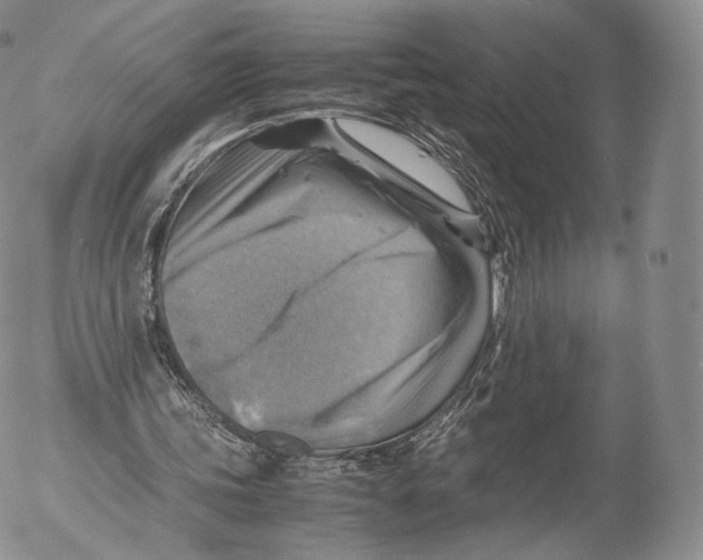 X0000053050339200508081134