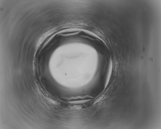 X0000053050340200508081134