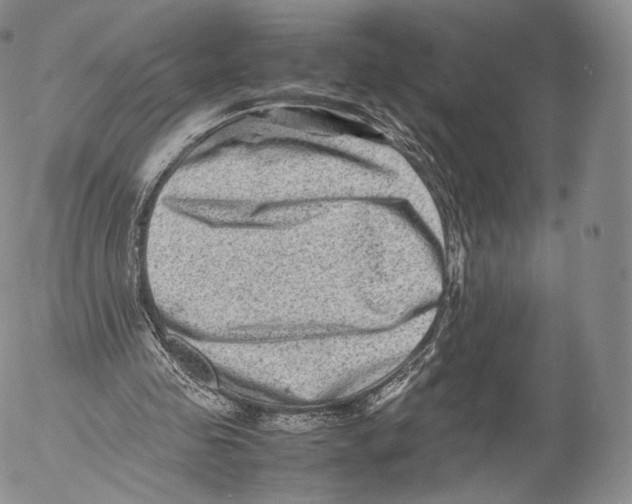 X0000053050341200508081134